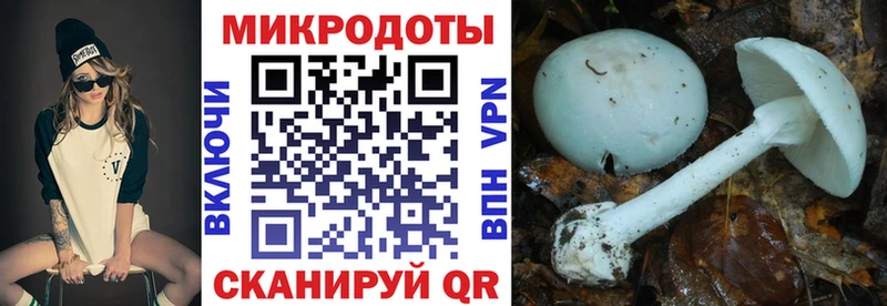Галлюциногенные грибы прущие грибы  Камышин 