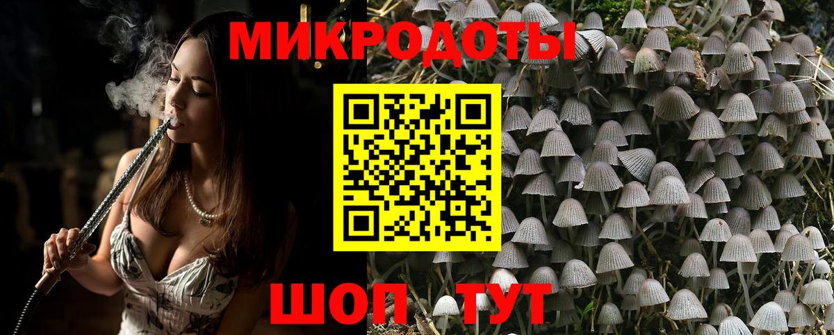 Псилоцибиновые грибы GOLDEN TEACHER Камышин